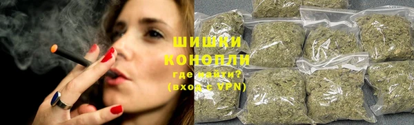 крисы Дмитриев