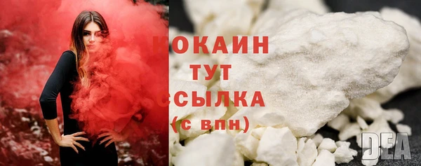 крисы Дмитриев