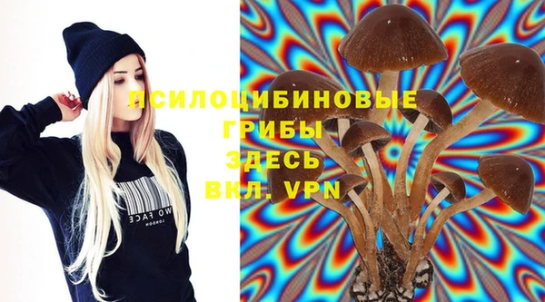 крисы Дмитриев