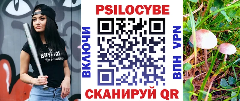 Купить  Тюкалинск  Псилоцибиновые грибы мицелий 